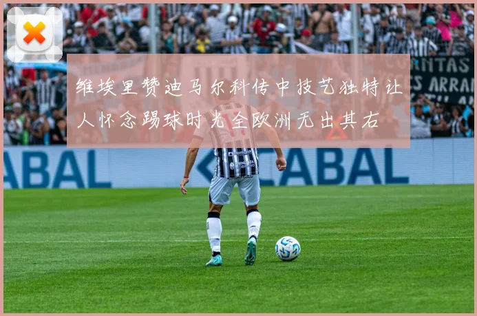 维埃里赞迪马尔科传中技艺独特让人怀念踢球时光全欧洲无出其右
