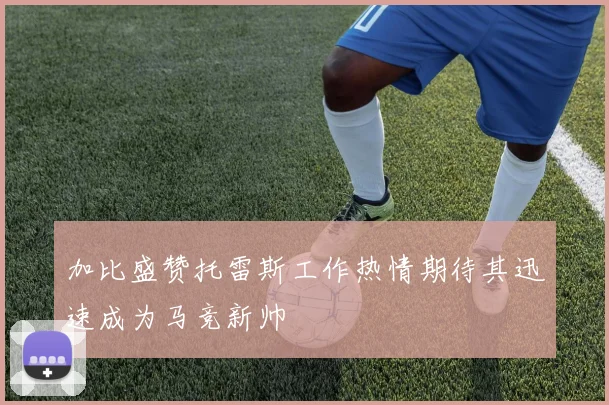 加比盛赞托雷斯工作热情期待其迅速成为马竞新帅