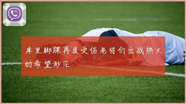 库里脚踝再度受伤老将们出战热火的希望渺茫