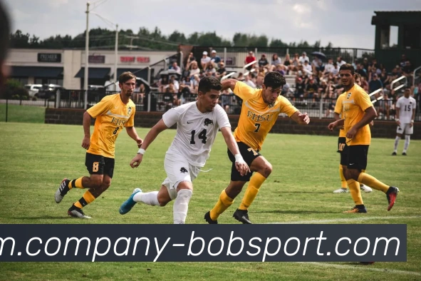 App Interface Preview